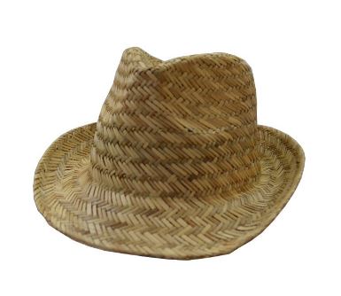 Fedora Straw Hat