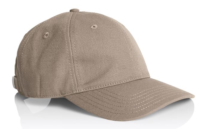 Access Canvas Cap