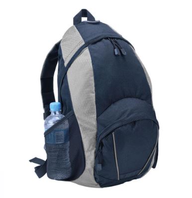 Polaris Backpack